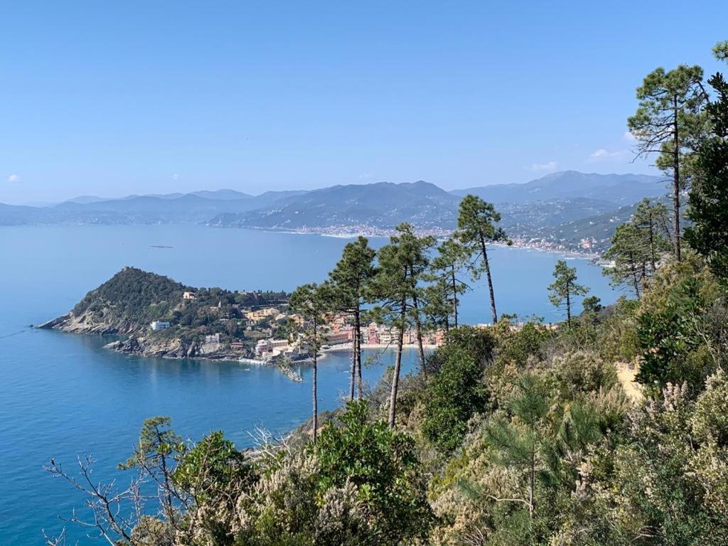 Вилла La Pergola Dei Paggi Сестри-Леванте Экстерьер фото